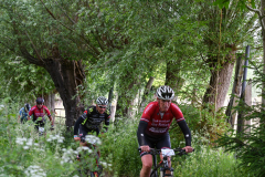 Livinusbike-22-1-van-100