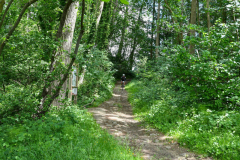 Livinusbike-22-105-van-114