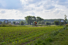 Livinusbike-22-12-van-111