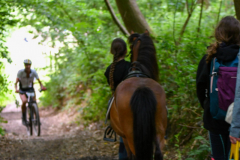 Livinusbike-22-12-van-114