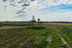 Livinusbike-22-2-van-111