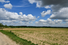 Livinusbike-22-38-van-114