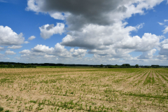 Livinusbike-22-39-van-114