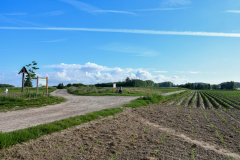 Livinusbike-22-4-van-111