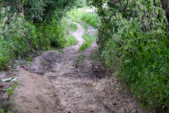 Livinusbike-22-40-van-111