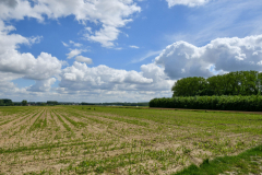 Livinusbike-22-41-van-114