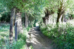 Livinusbike-22-7-van-111