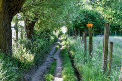 Livinusbike-22-8-van-111