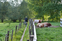 Livinusbike-22-84-van-89