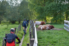 Livinusbike-22-85-van-89