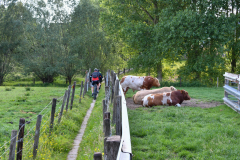 Livinusbike-22-86-van-89