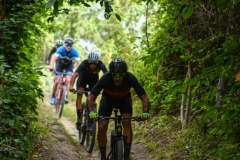 Livinusbike-22-88-van-100