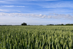 Livinusbike-22-9-van-111