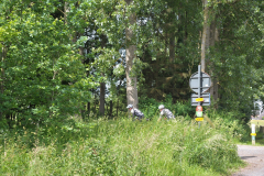 LivinusBike-17