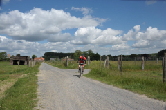 LivinusBike-31