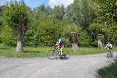 LivinusBike-41