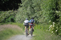 LivinusBike-43
