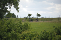 LivinusBike-71