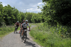 LivinusBike-8